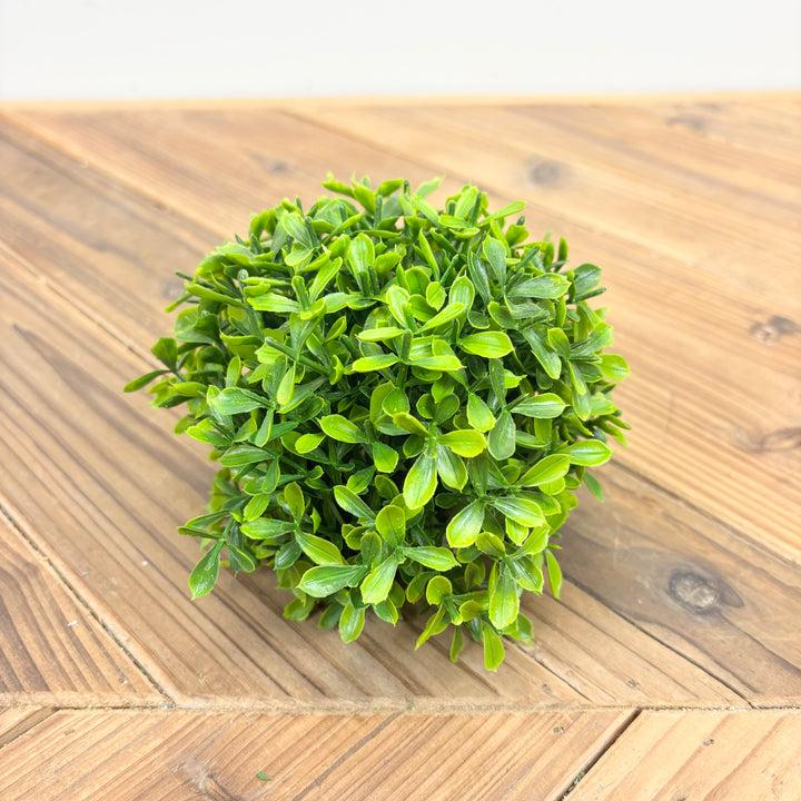 Boxwood Half-Orb