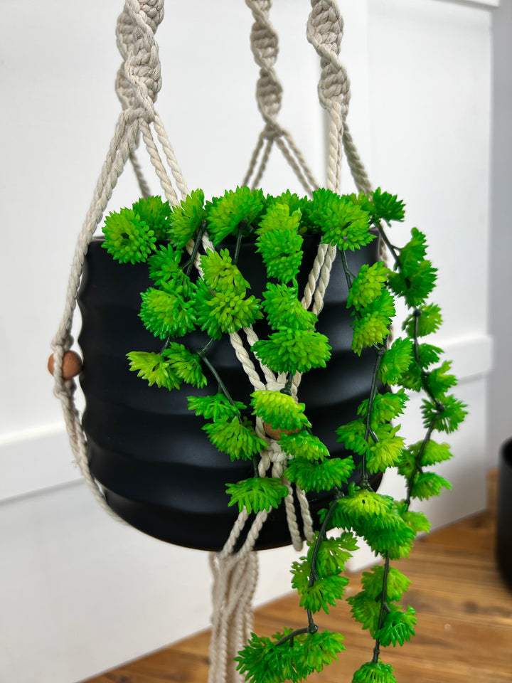 Plant Hanger