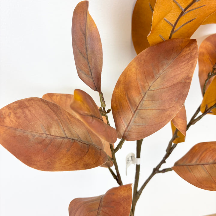 Magnolia Leaf Spray, Light Brown