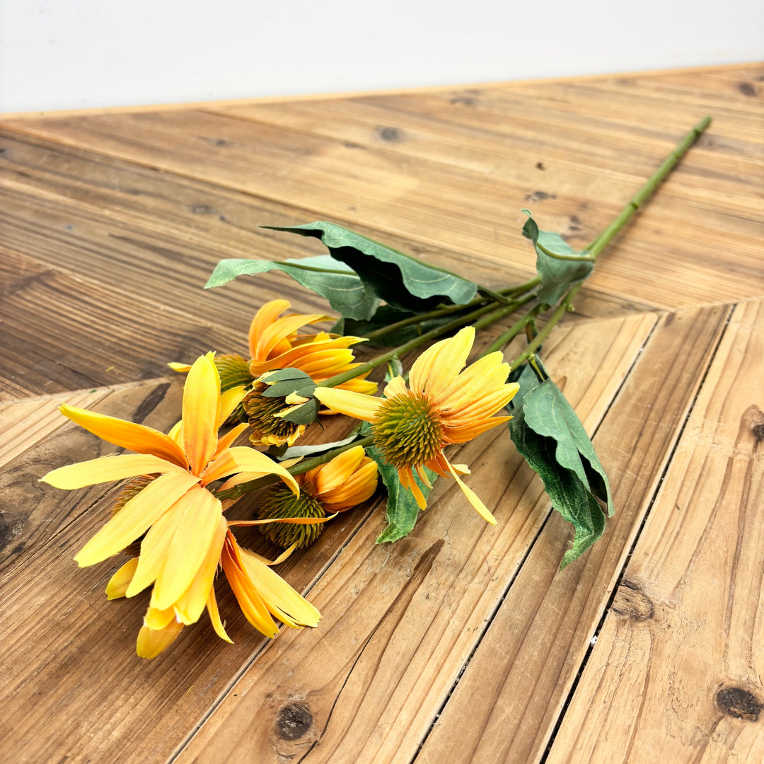 Black Eyed Susan - 3 Colors