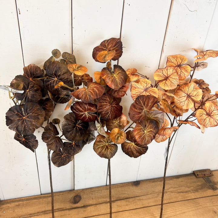 Ginkgo Leaf Stems