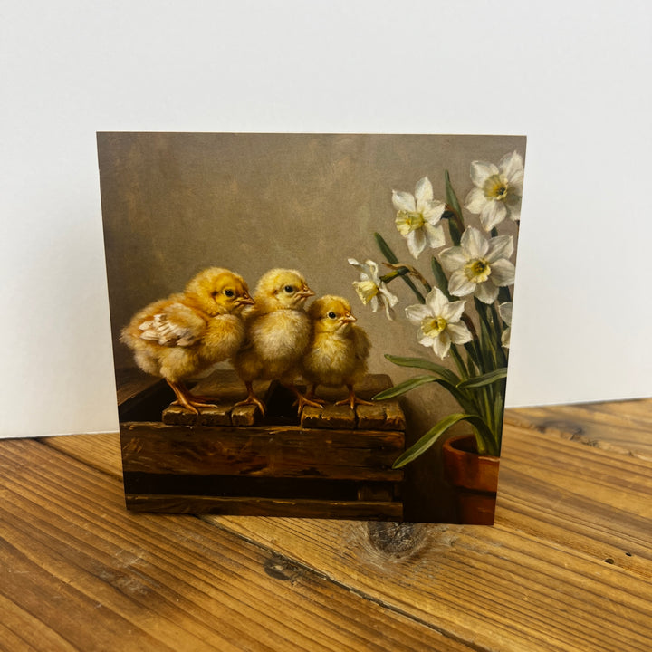 Spring Wooden Blocks