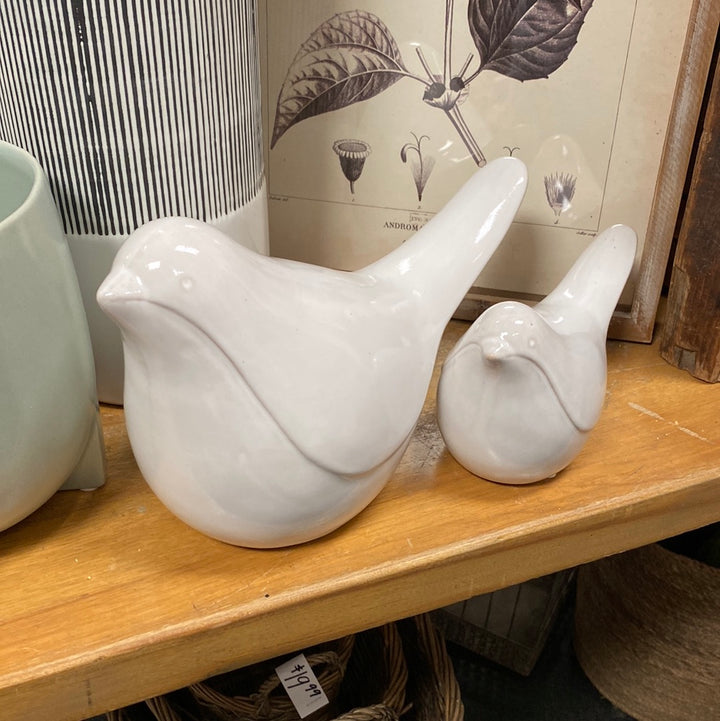Small Modern Bird