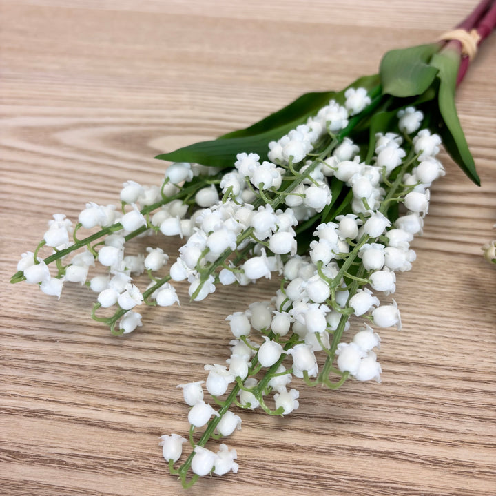 Lily of the Valley Bundle