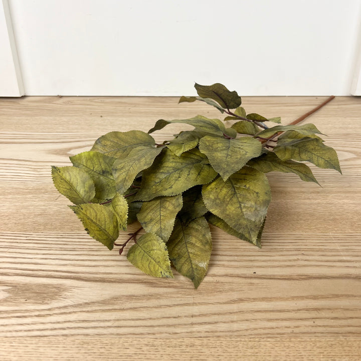 Salal Leaf Spray - 3 Colors