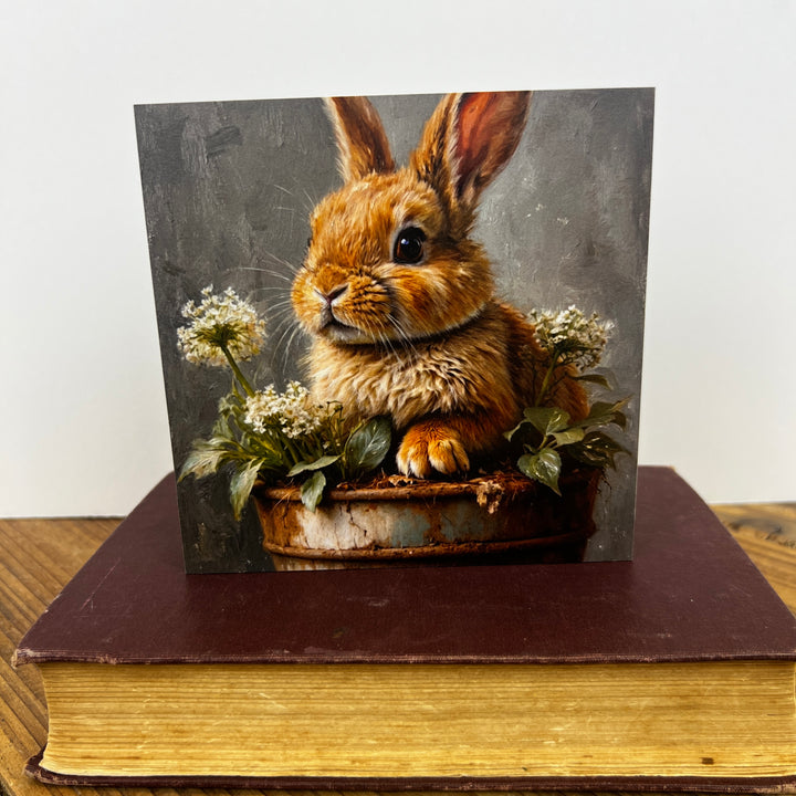 Spring Wooden Blocks