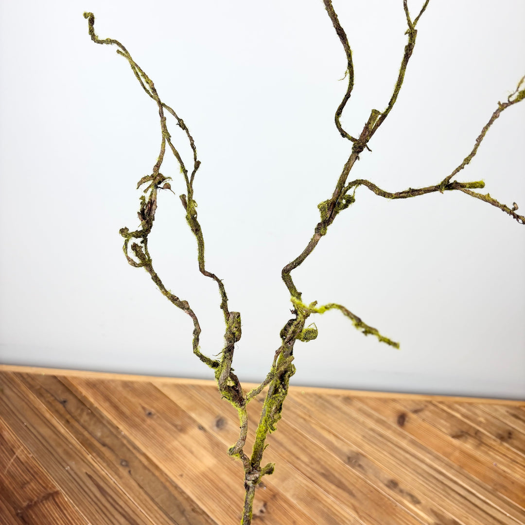 Mossy Twig Spray