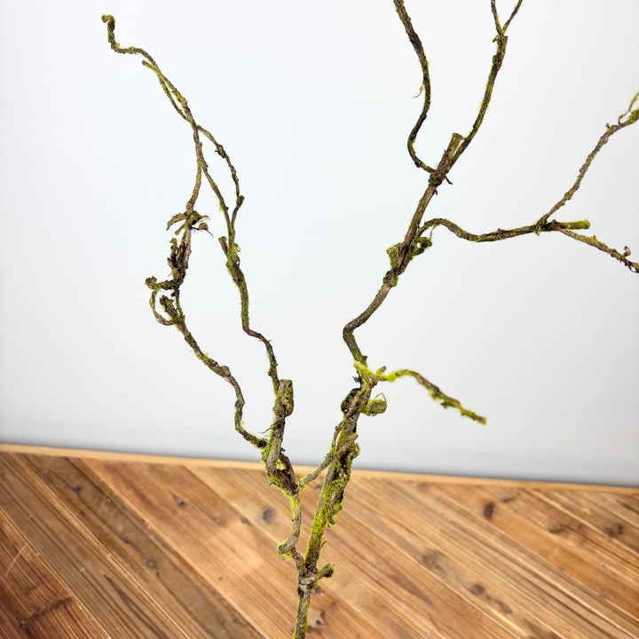 Mossy Twig Spray