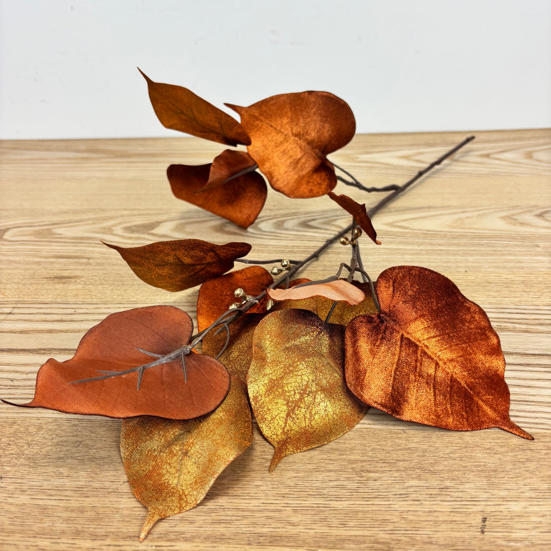 Velvet Ficus Spray, Spice