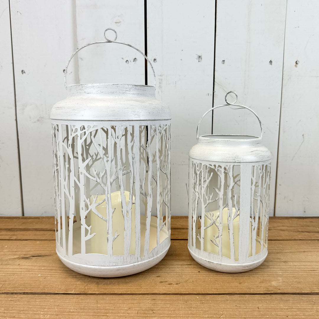 White Metal Birch Lanterns
