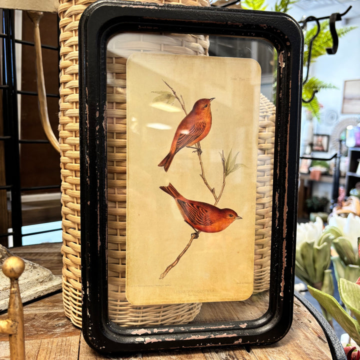 Distressed Wood Framed Bird Wall Decor- 6 Styles
