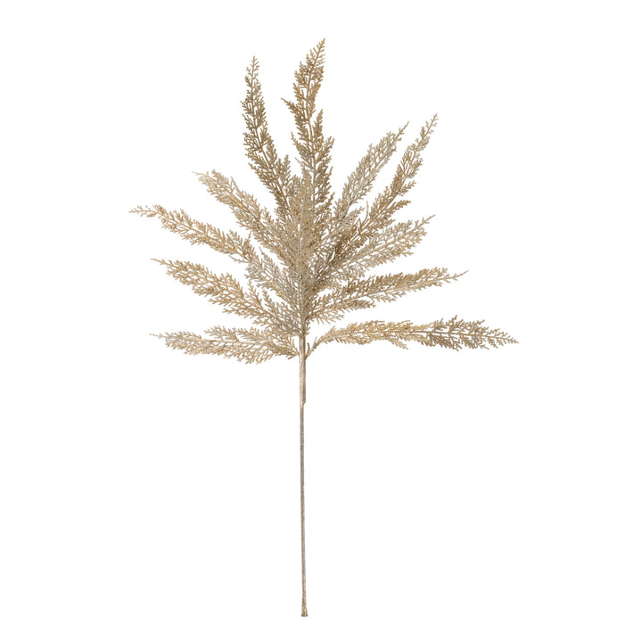 Champagne Cedar Spray 
