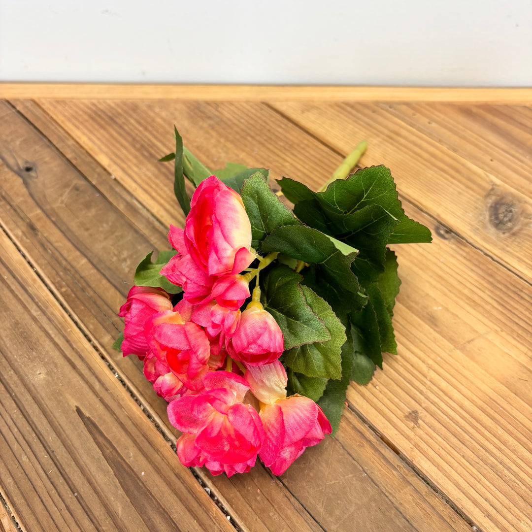 Begonia Bush - 2 Colors