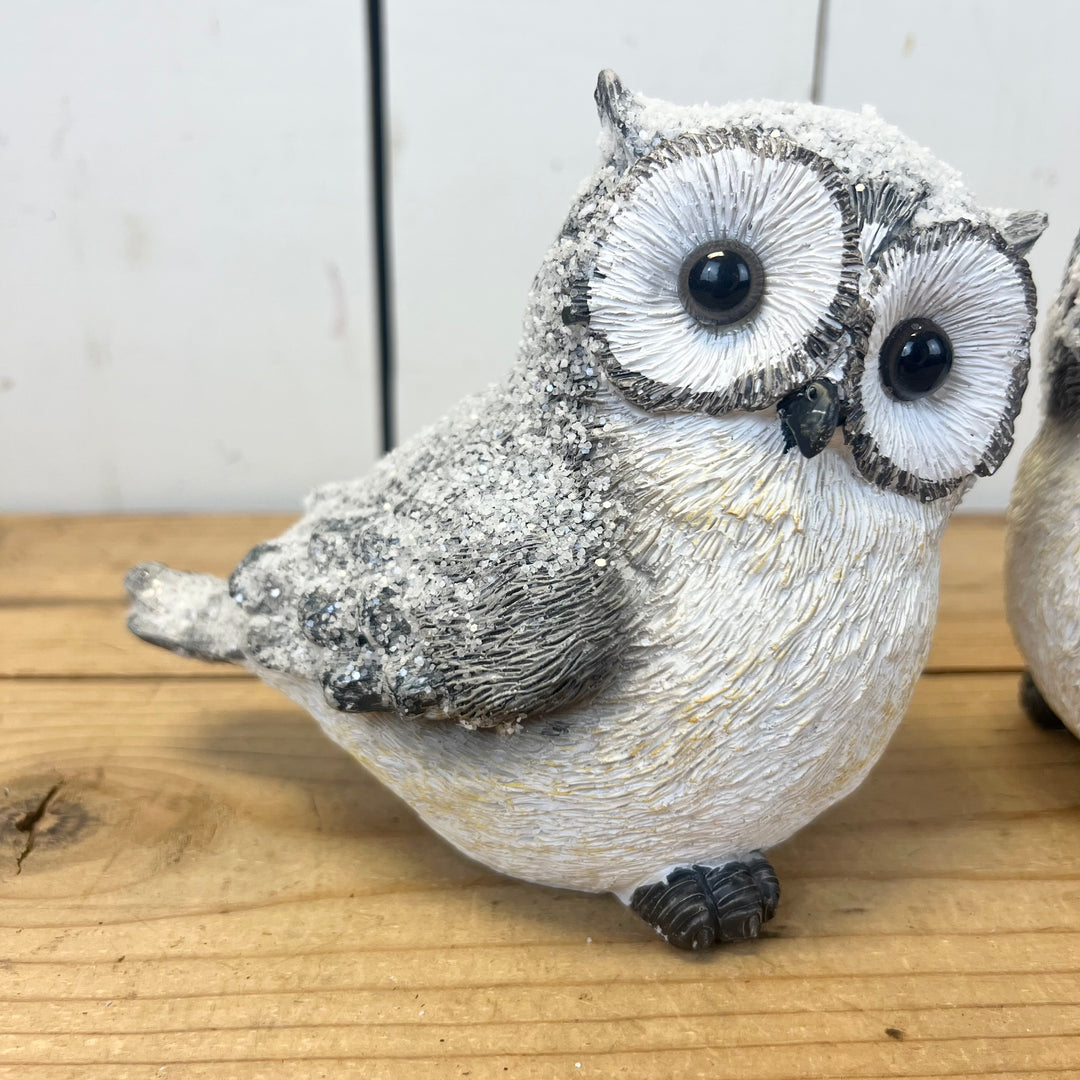 Snowy Resin Owls - Set of 2