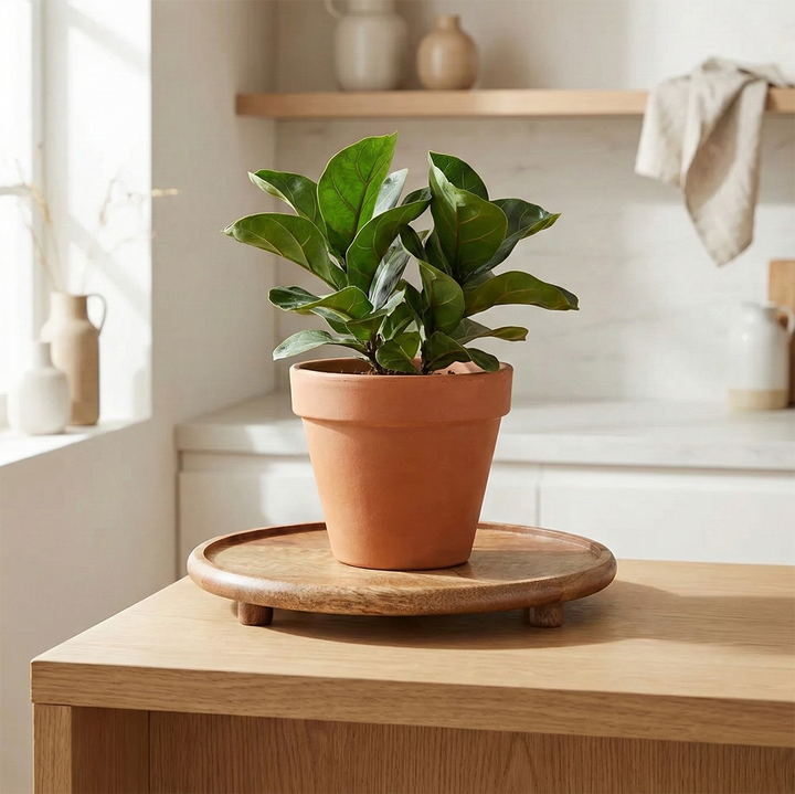 Wood Riser