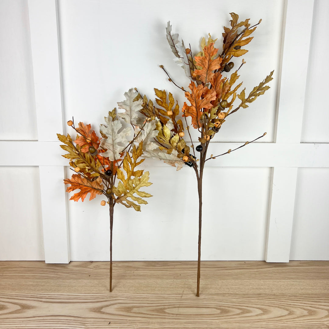 Multicolor Oak Collection