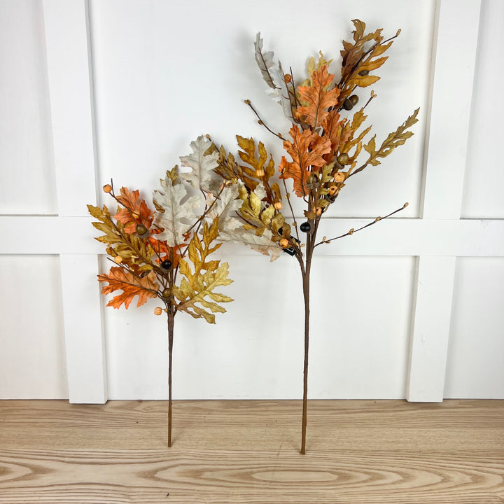 Multicolor Oak Collection