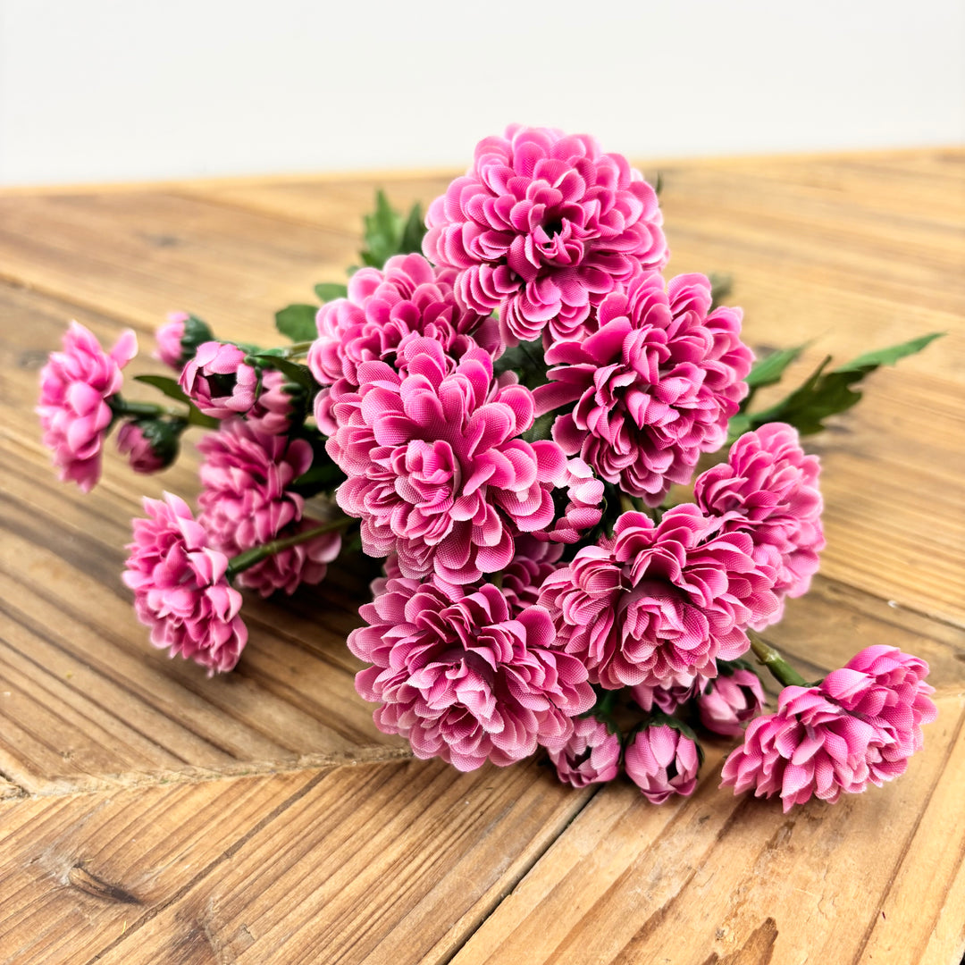 Wild Mum Bundle - 4 Colors