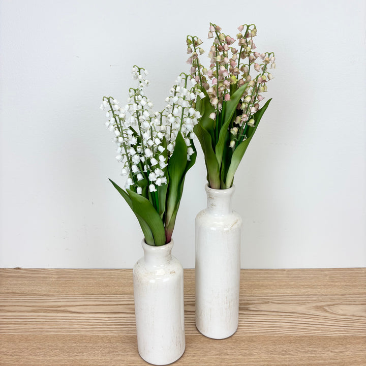 Lily of the Valley Bundle