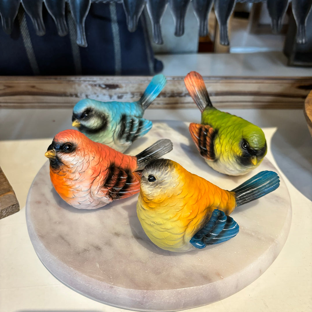 Colorful Birds - 4 Colors