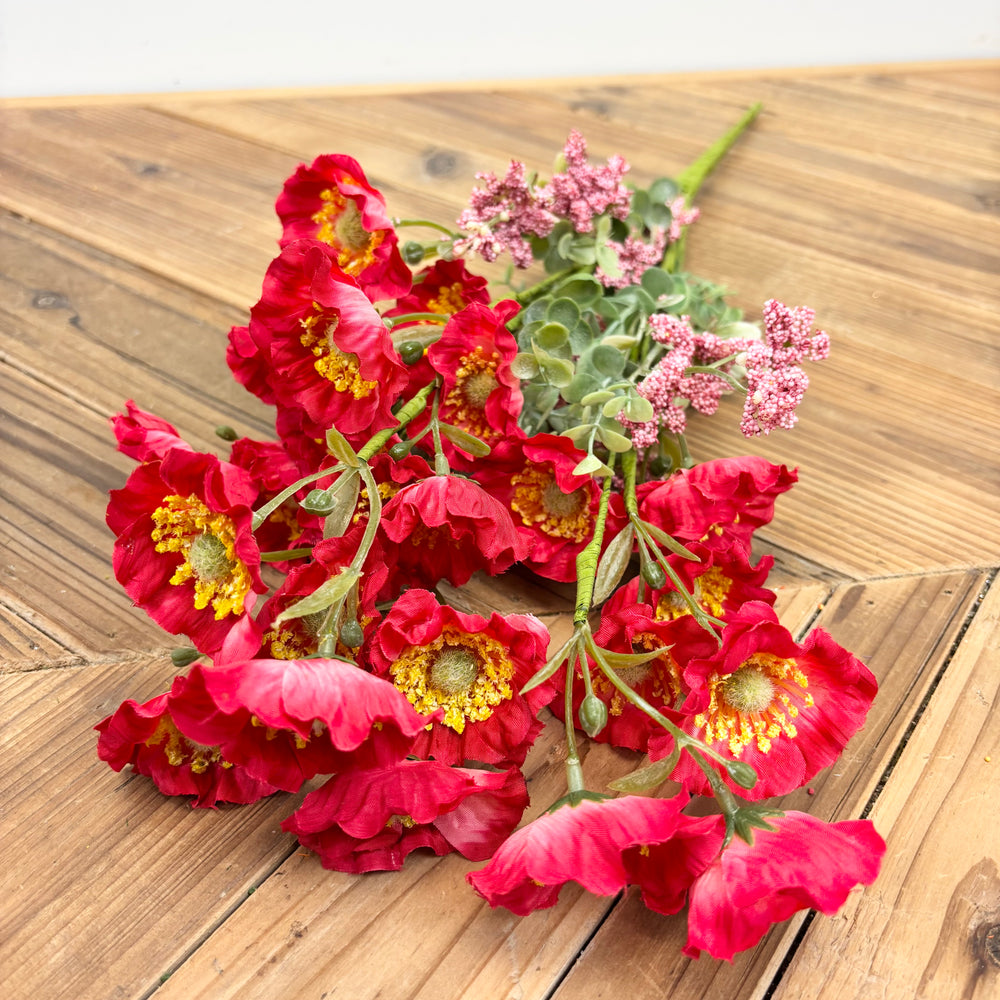 Poppy Bush - 2 Colors – Prairie in Bloom