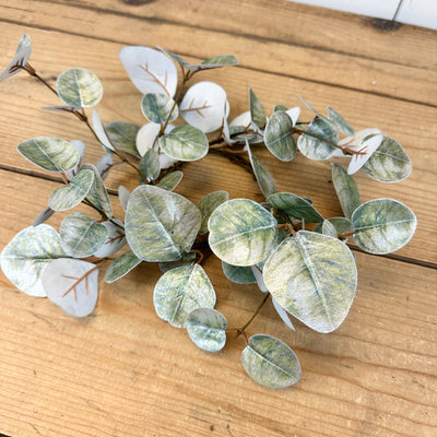 Sparkly Eucalyptus Collection