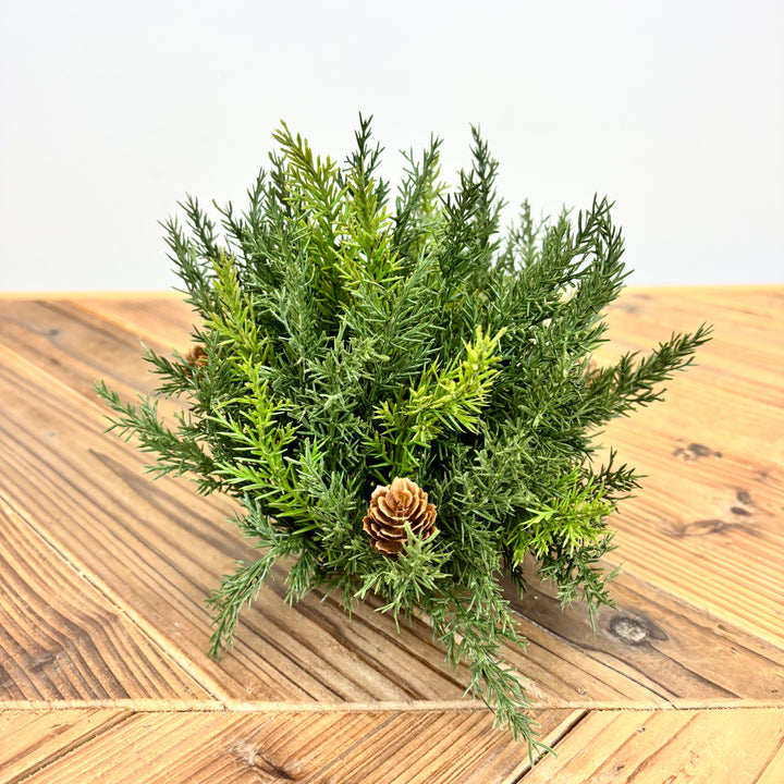 Arborvitae Half Orb