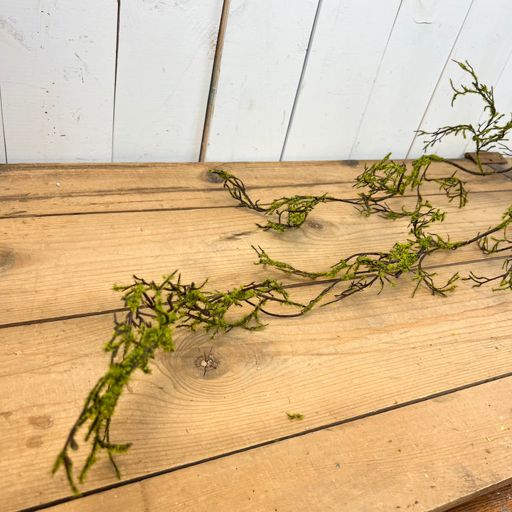 Mossy Twig Wreath & Long Stem
