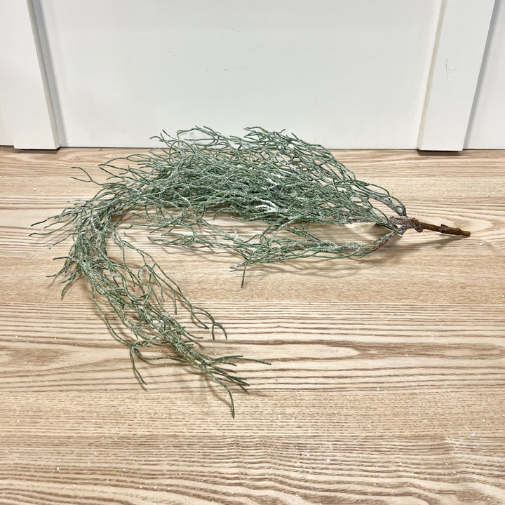 Iced Vine