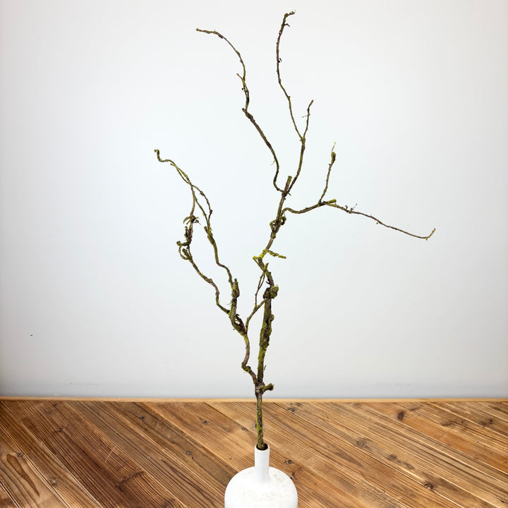 Mossy Twig Spray