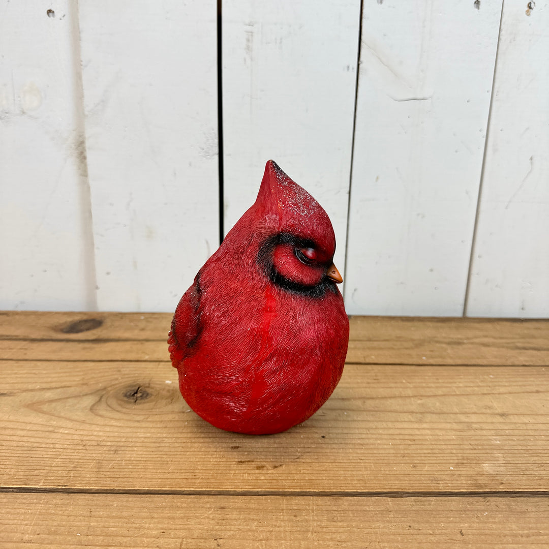 Large Sleeping Cardinal