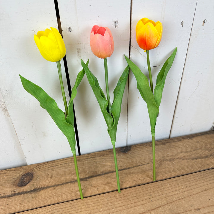 Real-Feel Single Jumbo Tulip Stem