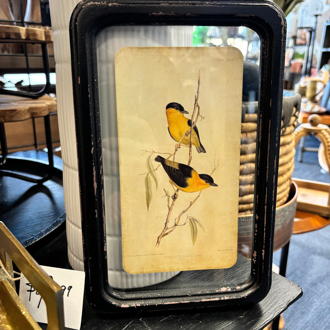 Distressed Wood Framed Bird Wall Decor- 6 Styles