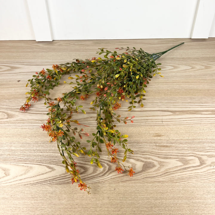English Boxwood Berry Vine