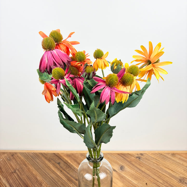 Black Eyed Susan - 3 Colors