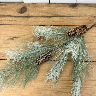 Icy Long Pine Stem