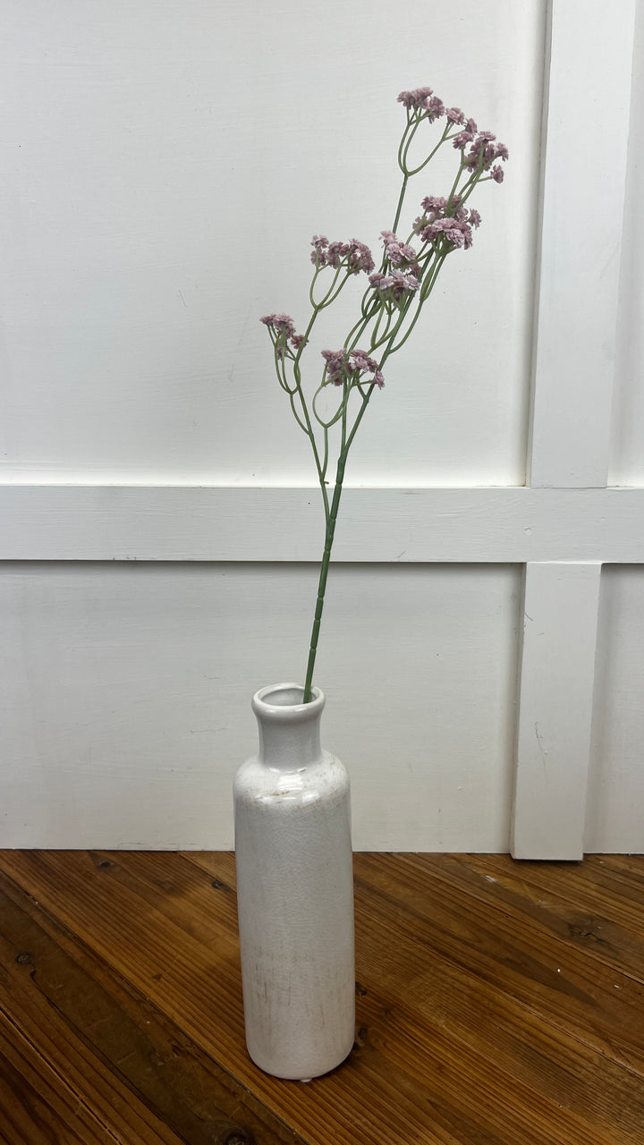 Baby's Breath