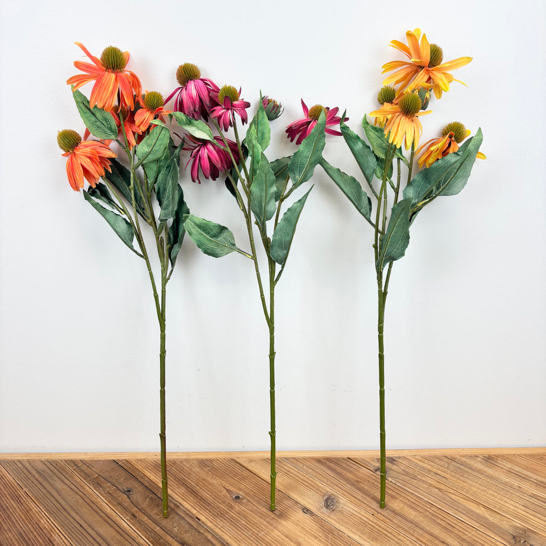 Black Eyed Susan - 3 Colors