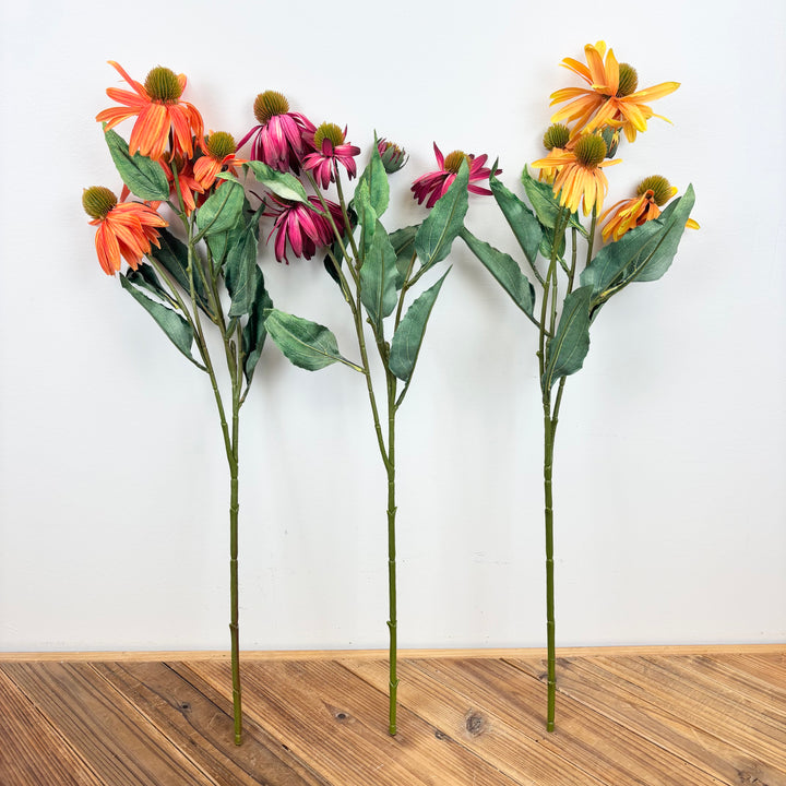 Black Eyed Susan - 3 Colors