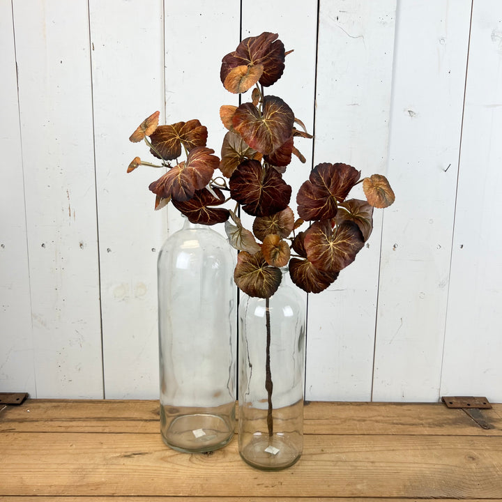 Ginkgo Leaf Stems