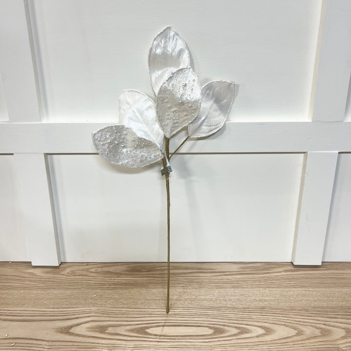 Off White Magnolia Leaf Stem