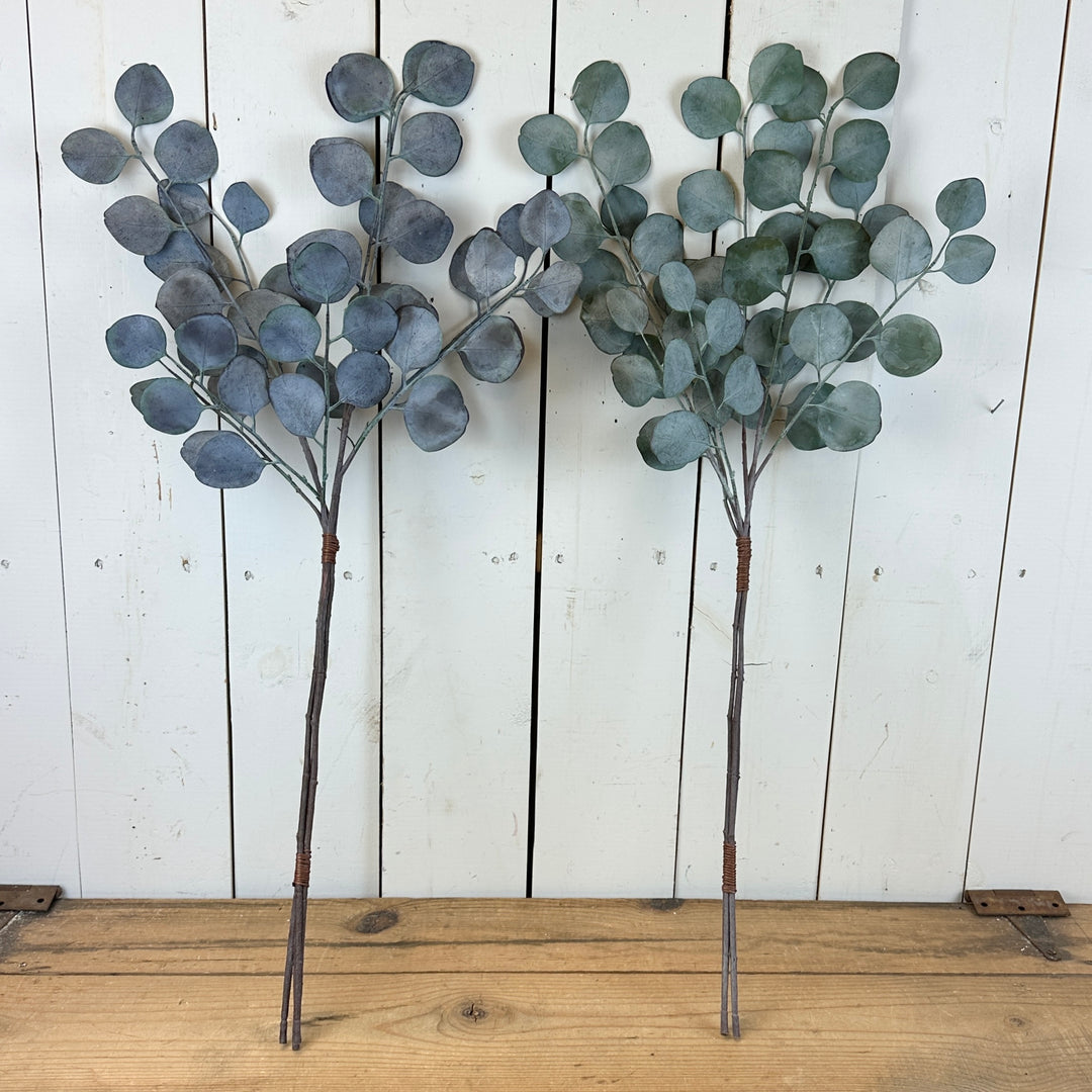 Silver Dollar Eucalyptus Bundles