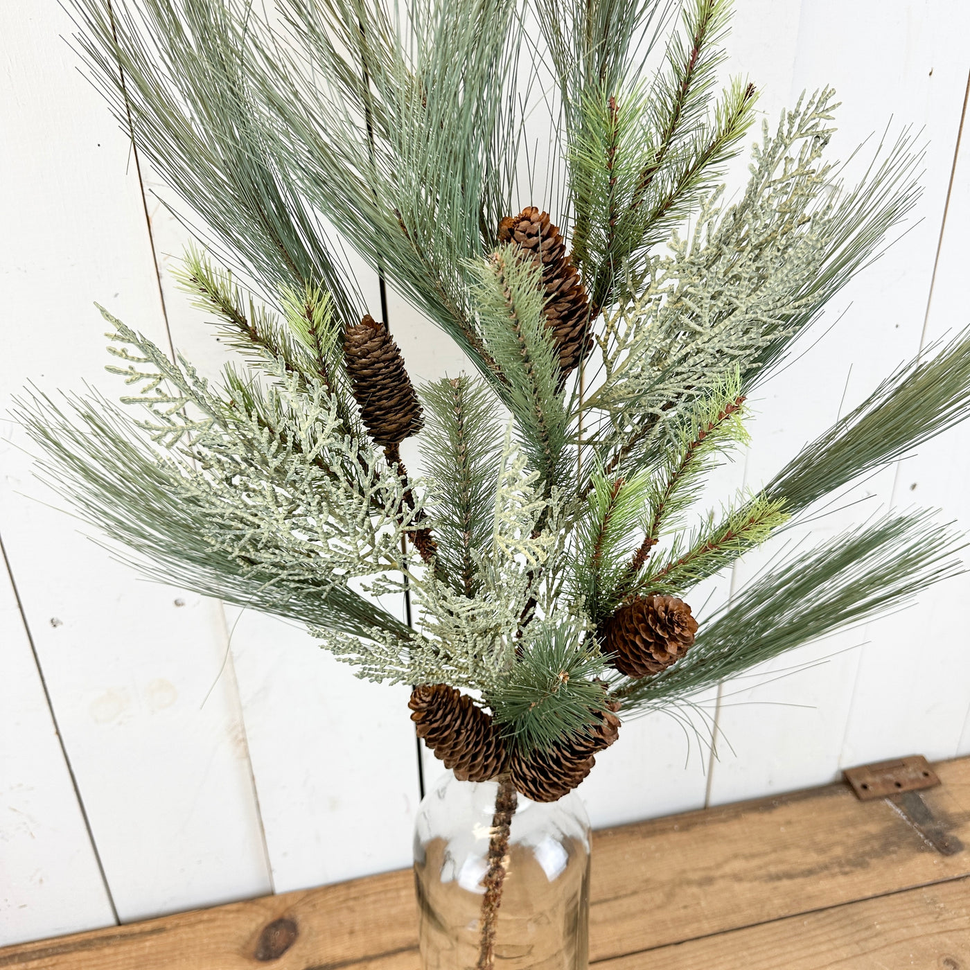Long Cedar and Pine Stem