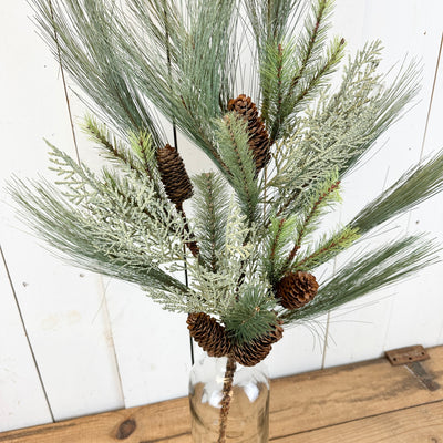 Long Cedar and Pine Stem