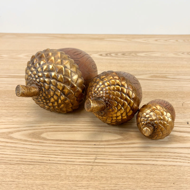 Gold Topped Acorns - Set of 3
