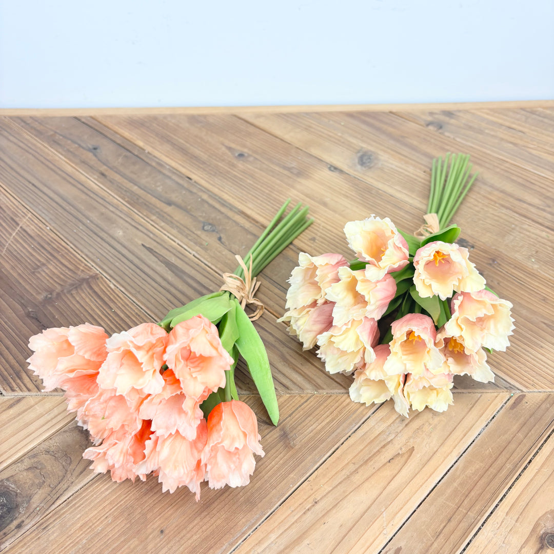 Parrot Tulip Bundle - 2 Colors