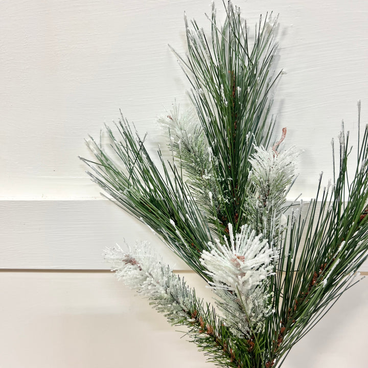Iced Pine Stem