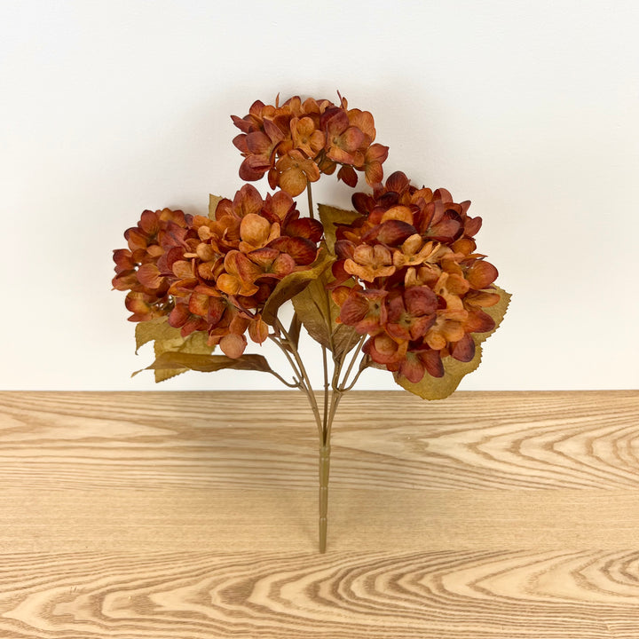 Orange/Brown Hydrangea Bush