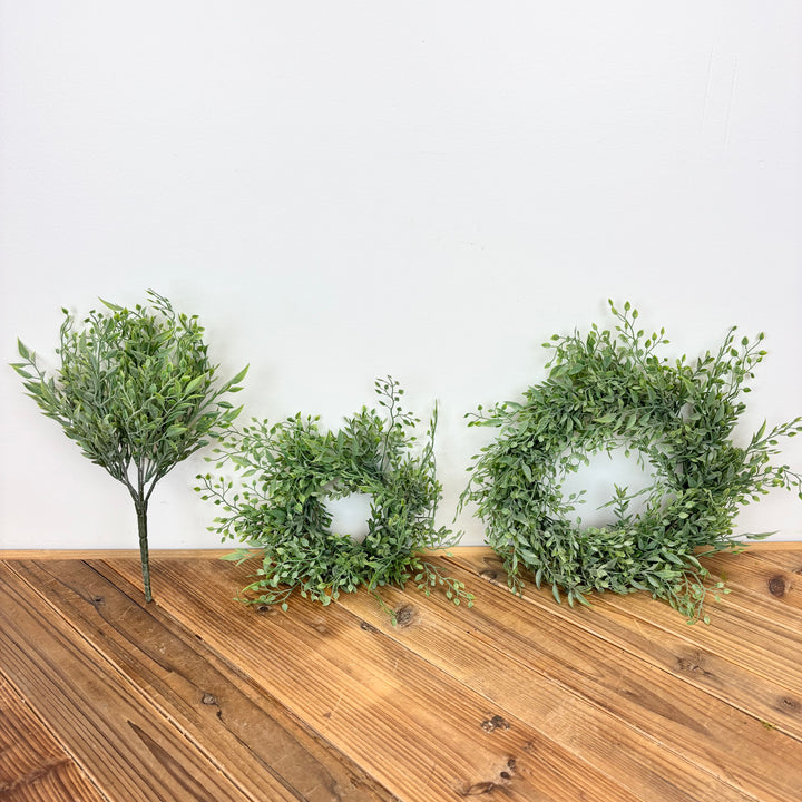 Baby Tears Collection