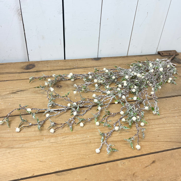 Frosted Cream Berry Vine